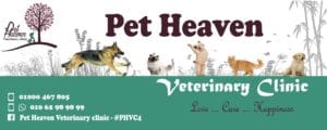 Pet Heaven Veterinary Clinic