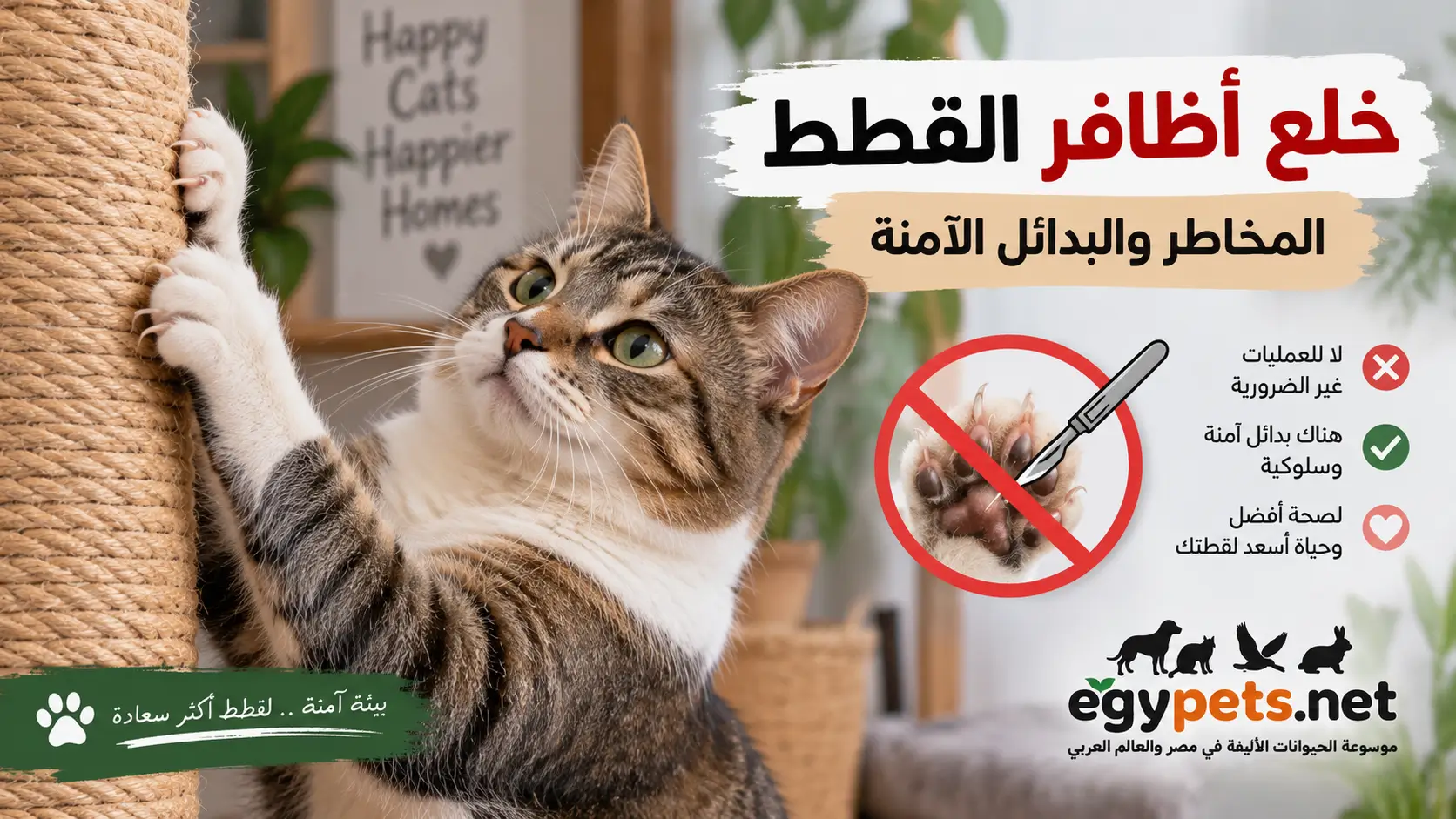 خلع أظافر القطط