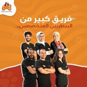 عيادات بيت زون البيطرية