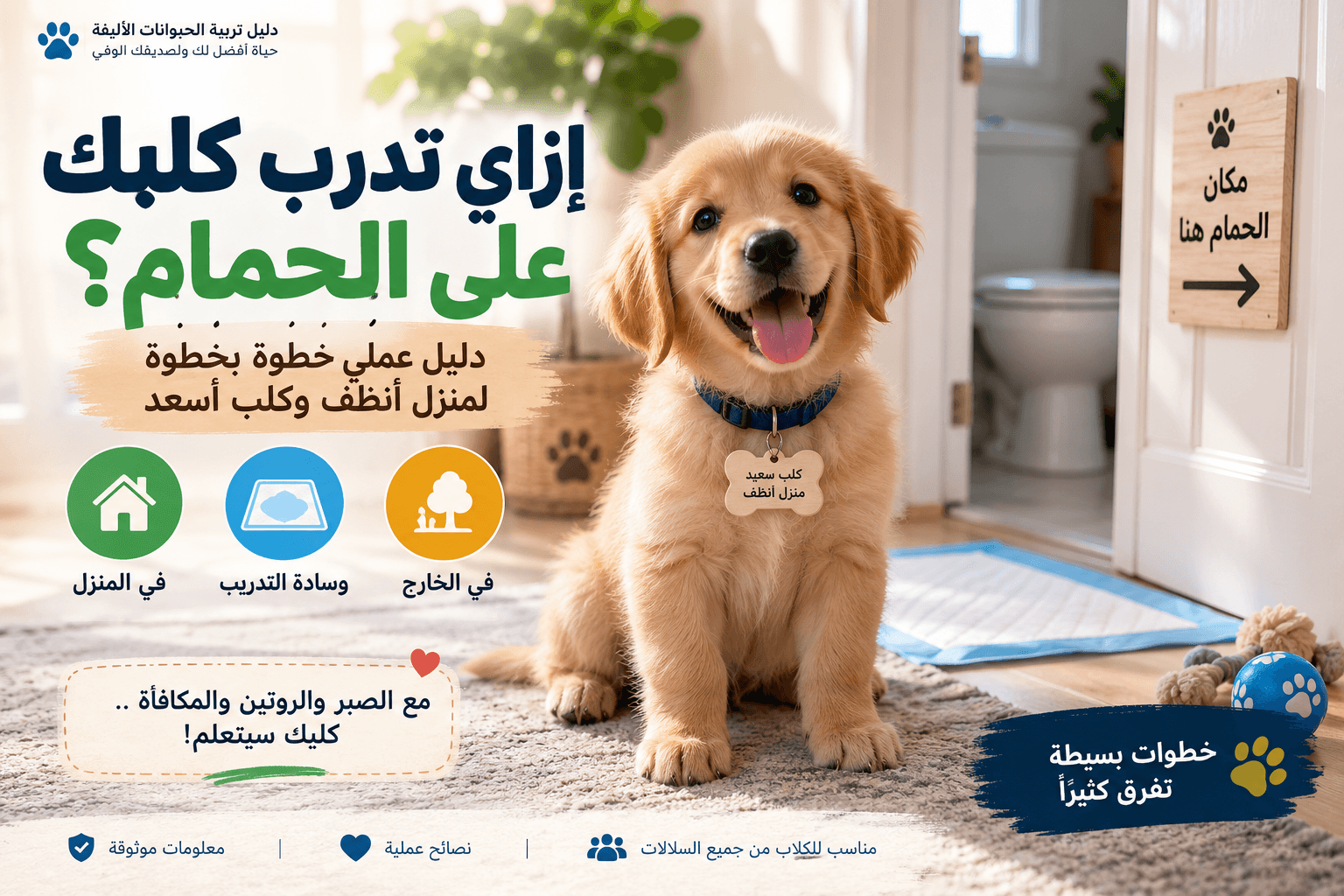 تدريب الكلب على مكان الحمام وتعليمه قضاء حاجته في المكان المخصص
