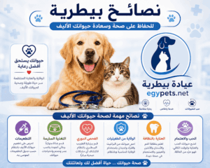 عيادة بيطرية