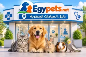 دليل العيادات البيطرية