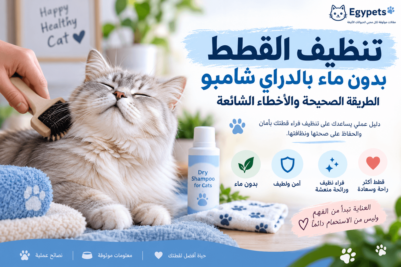 تنظيف القطط بالدراي شامبوو بدون ماء