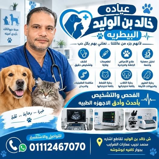 عيادة بيطرية في الاسكندرية سيدي بشر
