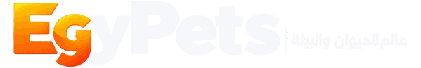 EgyPets