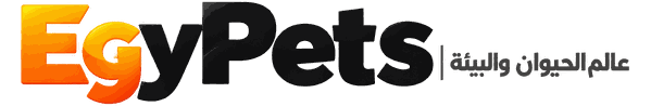 EgyPets