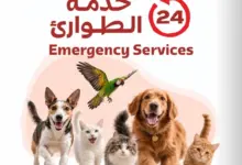 مركز اليف البيطري قطر- لوسيل-Aleef