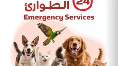 مركز اليف البيطري قطر- لوسيل-Aleef