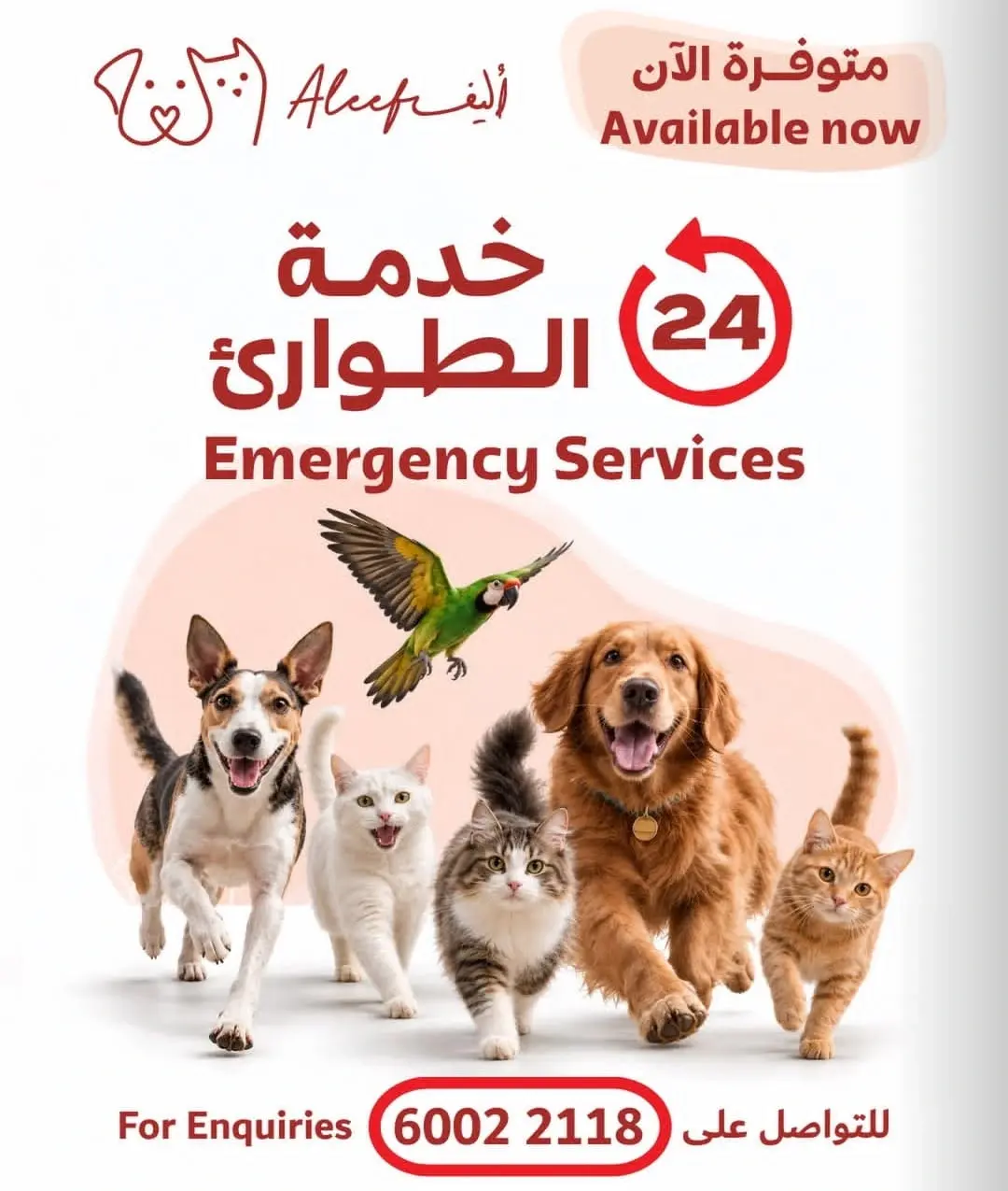 مركز أليف البيطري قطر - لوسيل الظغاين